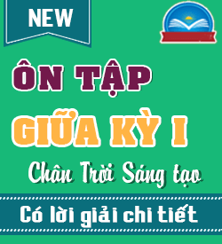 Ôn tập Giữa kỳ I (CTST_T11)